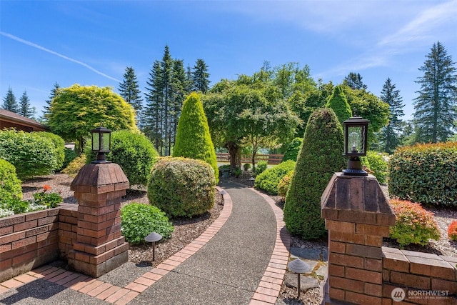 55771 Mossyrock Ave, Mossyrock, WA 98564 - view of patio