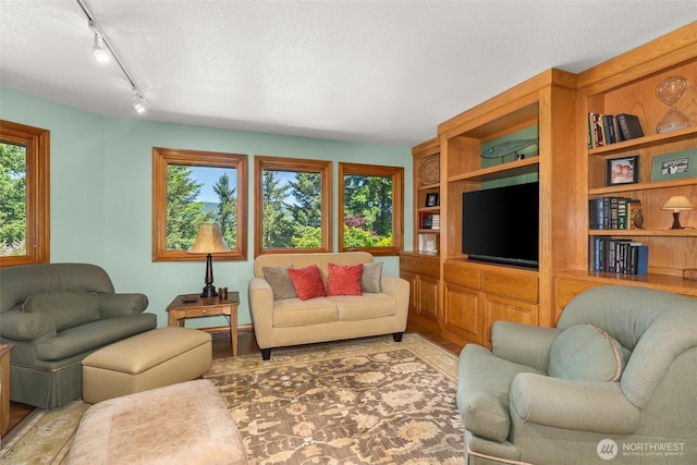 55771 Mossyrock Ave, Mossyrock, WA 98564 - living room with track lighting and a textured ceiling