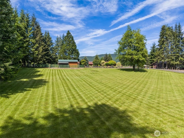 55771 Mossyrock Ave, Mossyrock, WA 98564 - view of yard with a mountain view