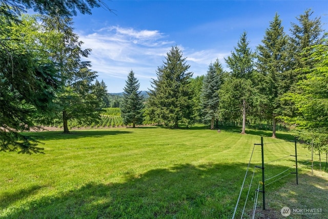 55771 Mossyrock Ave, Mossyrock, WA 98564 - view of grassy yard featuring a view of trees