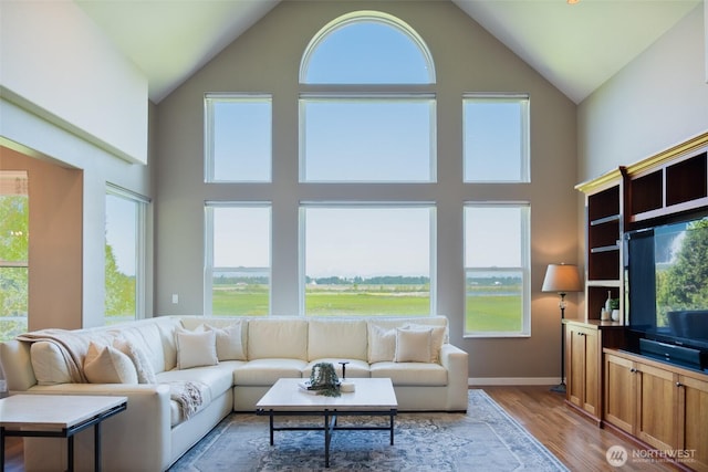 746 Van Dyk Rd, Lynden, WA 98264 - living room with light wood-style floors, high vaulted ceiling, and baseboards