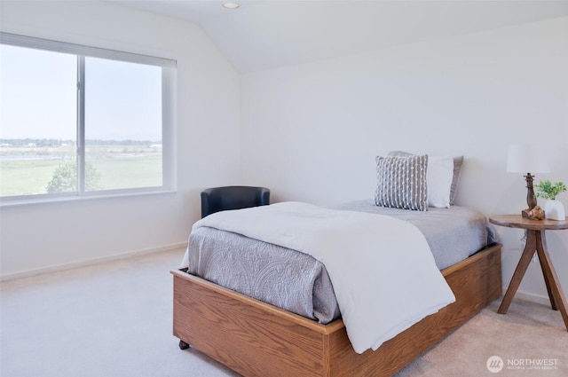 746 Van Dyk Rd, Lynden, WA 98264 - carpeted bedroom featuring multiple windows, vaulted ceiling, and baseboards