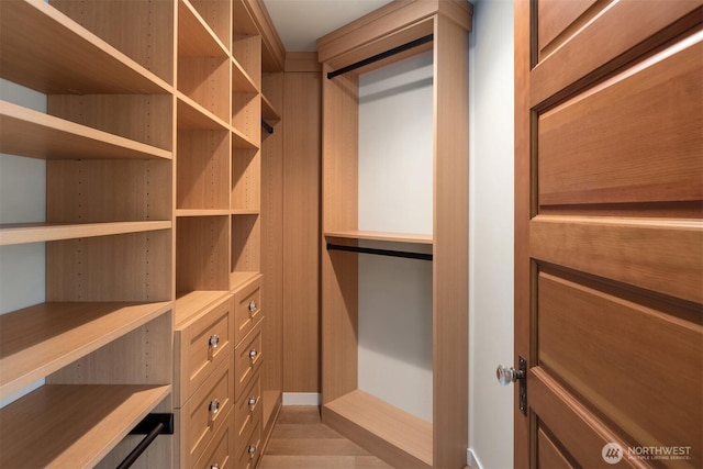 view of walk in closet