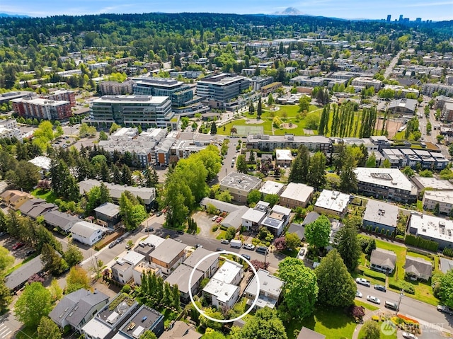 drone / aerial view