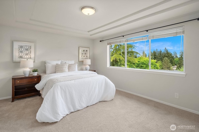 bedroom with baseboards, carpet flooring, and a tray ceiling