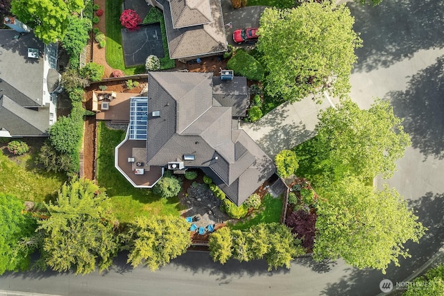 bird's eye view
