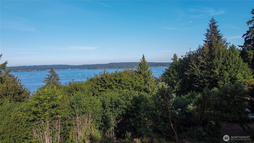 2393 Trail Way, Poulsbo, WA 98370 - photo 3