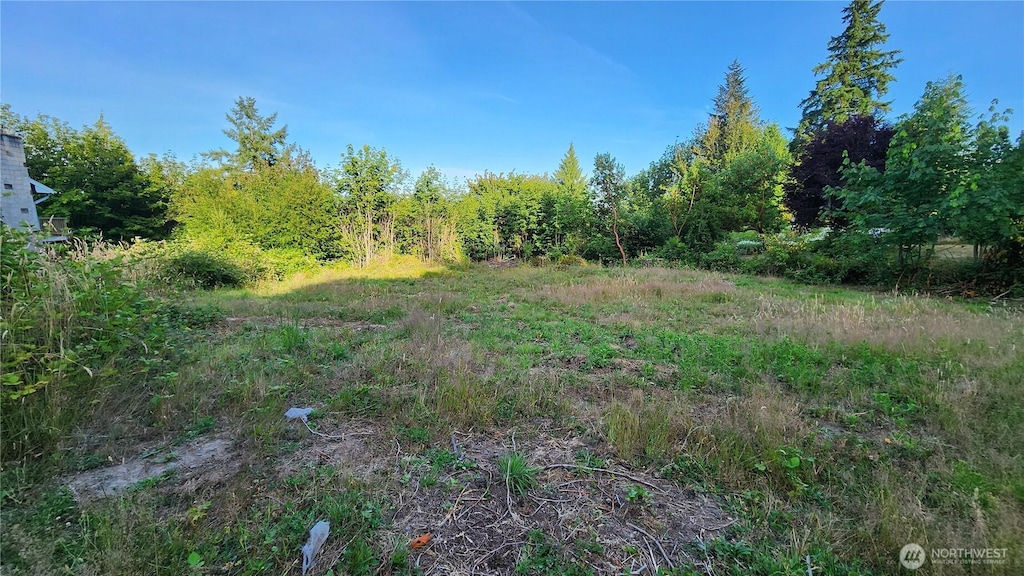 2393 Trail Way, Poulsbo, WA 98370 - photo 4