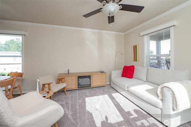 1200 Lincoln St Unit 121, Bellingham, WA 98229 - living area featuring plenty of natural light, ornamental molding, light colored carpet, and a ceiling fan