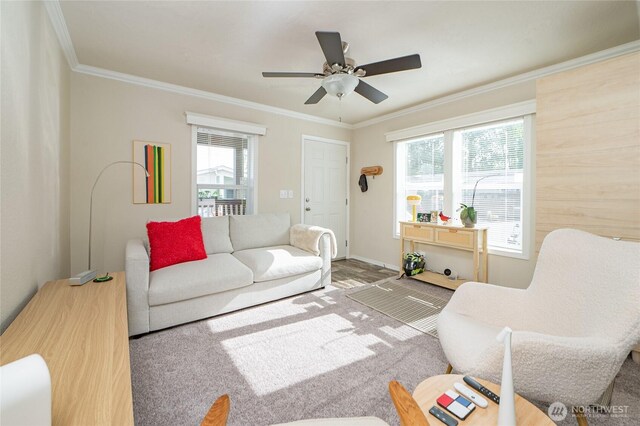 1200 Lincoln St Unit 121, Bellingham, WA 98229 - living area featuring ornamental molding, ceiling fan, and baseboards