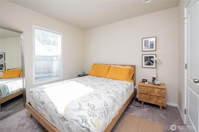 1200 Lincoln St Unit 121, Bellingham, WA 98229 - bedroom featuring carpet floors and baseboards