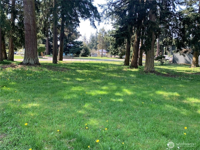 111 3rd St, Port Hadlock, WA 98339 - view of grassy yard