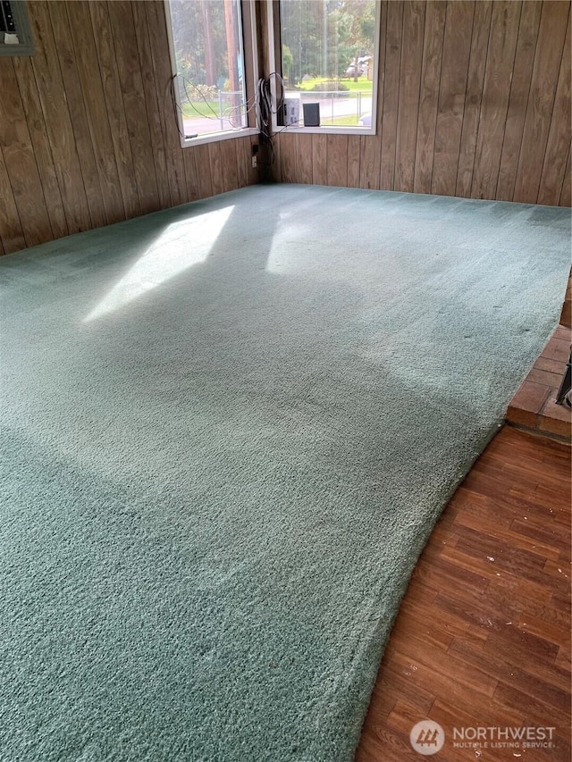 111 3rd St, Port Hadlock, WA 98339 - carpeted spare room featuring wood walls