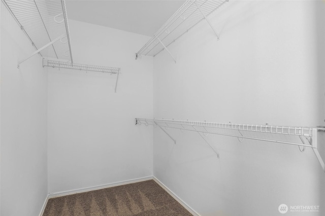 27922 146th Ave SE, Kent, WA 98042 - walk in closet with carpet