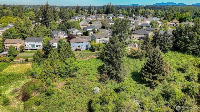 27922 146th Ave SE, Kent, WA 98042 - aerial view of residential area with a forest and mountains