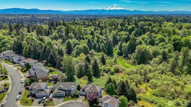 27922 146th Ave SE, Kent, WA 98042 - aerial perspective of suburban area with a heavily wooded area and a mountain backdrop