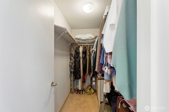 9619 Windswept Ln NW, Silverdale, WA 98383 - walk in closet featuring light colored carpet