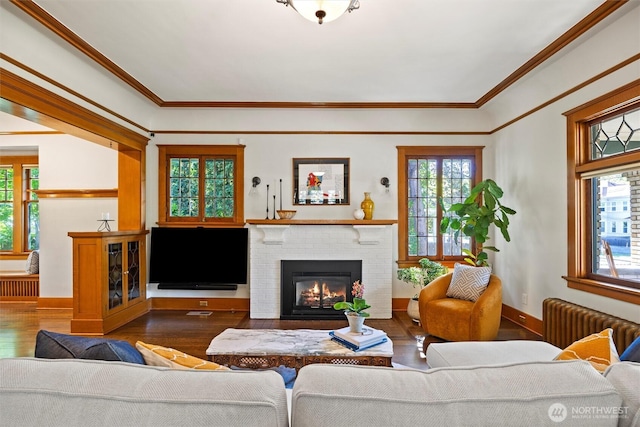living room featuring radiator heating unit, wood finished floors, healthy amount of natural light, a fireplace, and ornamental molding