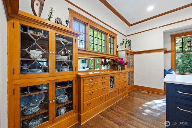 spacious closet featuring dark wood-style floors