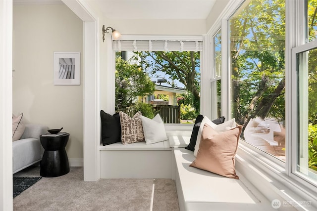 sunroom featuring carpet flooring