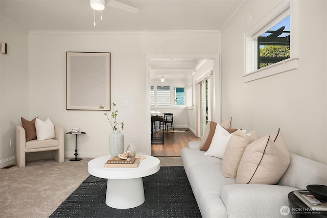 living area with ceiling fan, crown molding, carpet, and baseboards
