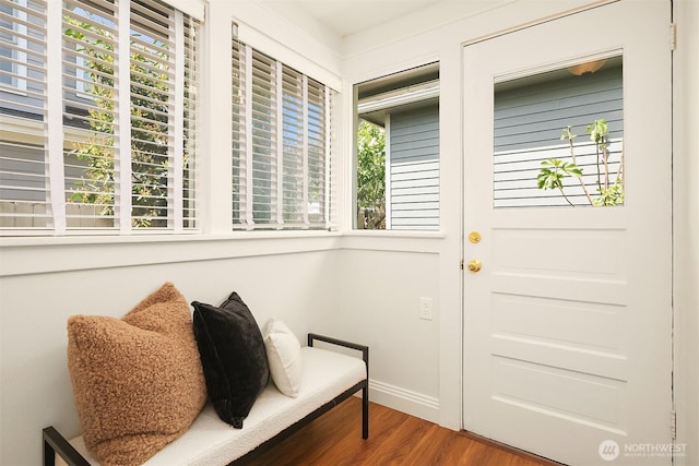 doorway with wood finished floors, healthy amount of natural light, and baseboards