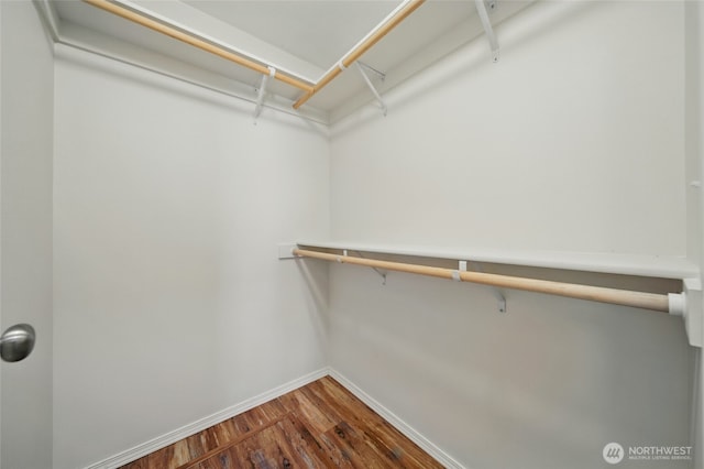 spacious closet featuring wood finished floors