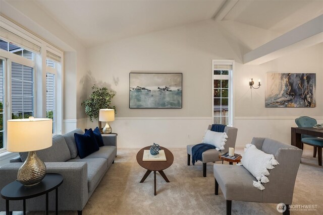 carpeted living room featuring plenty of natural light