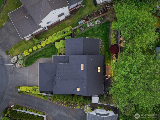 bird's eye view