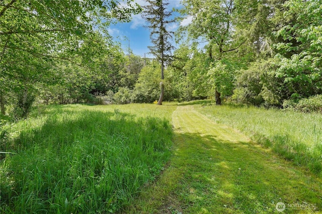 1120 Maple Valley Rd SW, Olympia, WA 98512 - view of yard with a forest view