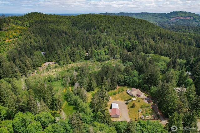 1120 Maple Valley Rd SW, Olympia, WA 98512 - aerial view of property and surrounding area with a forest and a mountain backdrop