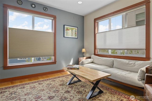 living area featuring wood finished floors