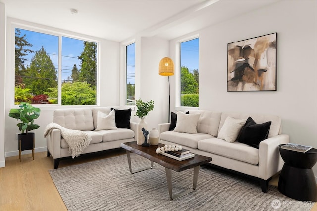 1911C N 120th St, Seattle, WA 98133 - living room with light wood finished floors and baseboards
