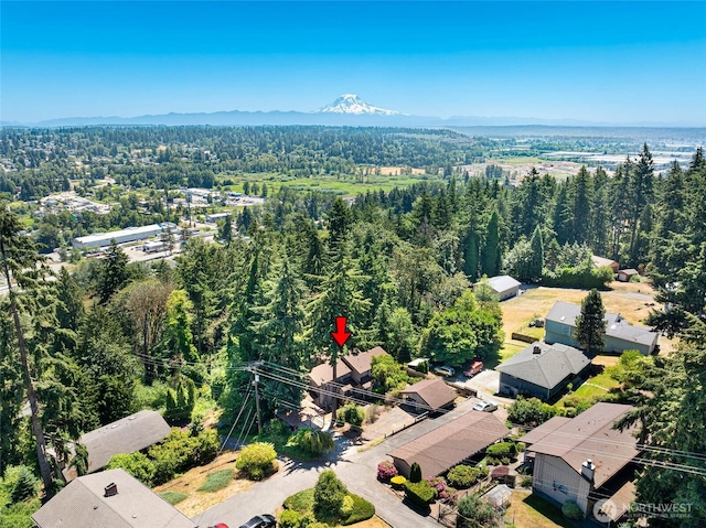 6612 4th St E, Tacoma, WA 98424 - aerial view of a forest and a mountain backdrop
