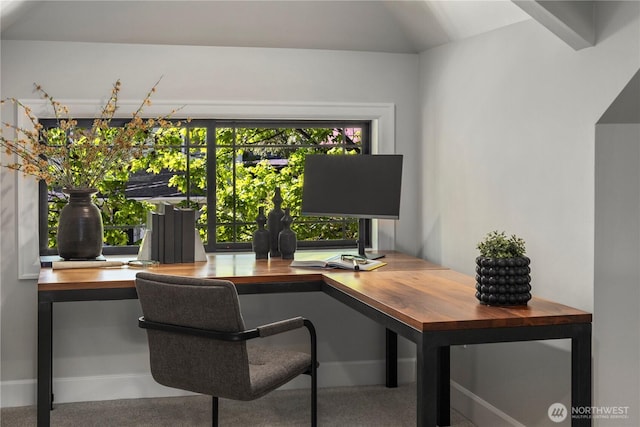 3018 22nd Ave W, Seattle, WA 98199 - office featuring baseboards and lofted ceiling