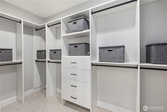 3018 22nd Ave W, Seattle, WA 98199 - walk in closet with light carpet