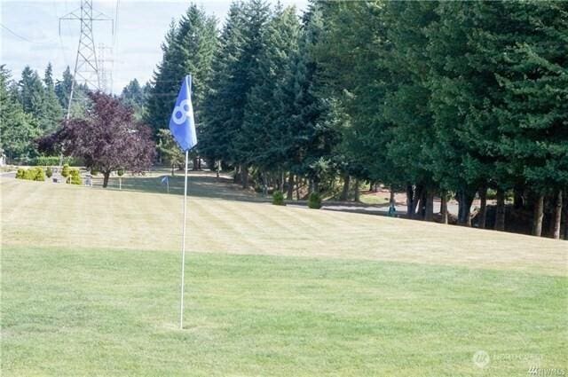 201 Union Ave SE Unit 234, Renton, WA 98059 - view of home's community with a lawn and an area to practice putting