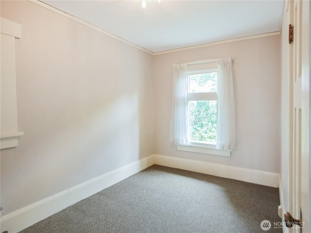 215 N Forest St, Bellingham, WA 98225 - empty room with carpet and crown molding