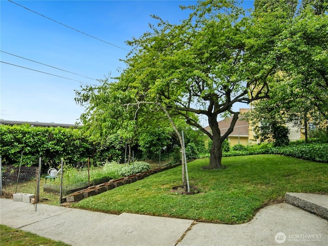 215 N Forest St, Bellingham, WA 98225 - view of yard