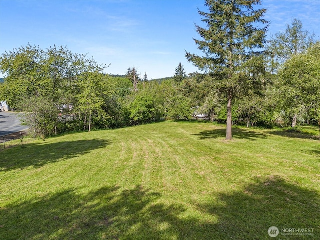 view of grassy yard