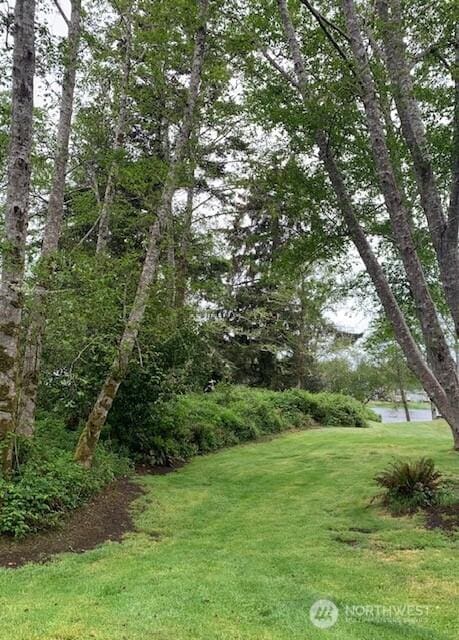 24007 Elm Pl, Ocean Park, WA 98640