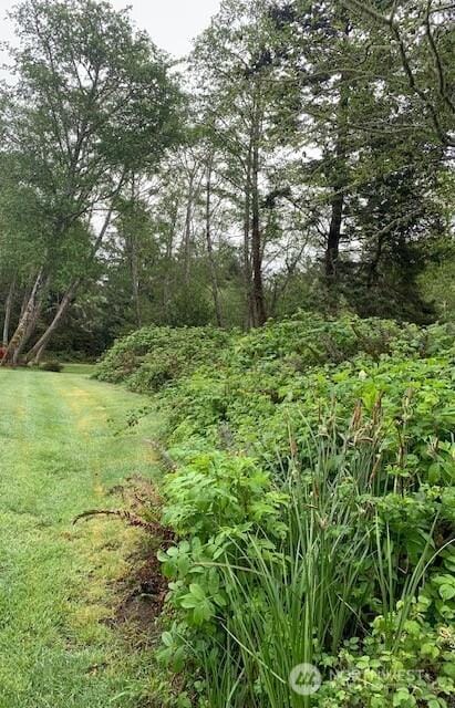 24007 Elm Pl, Ocean Park, WA 98640