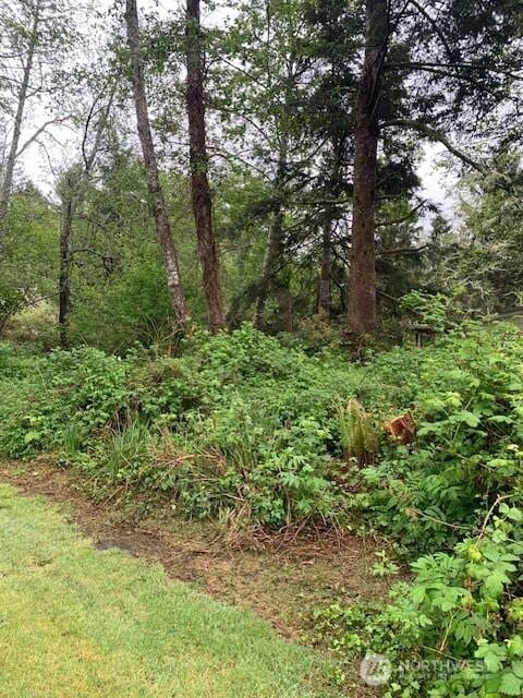24007 Elm Pl, Ocean Park, WA 98640
