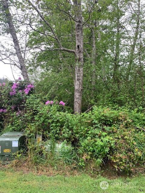 24007 Elm Pl, Ocean Park, WA 98640
