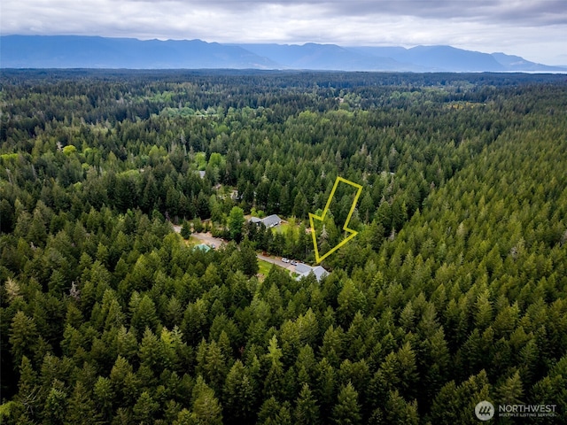 760 Lewis Rd W, Seabeck, WA 98380 - drone / aerial view of a forest and mountains