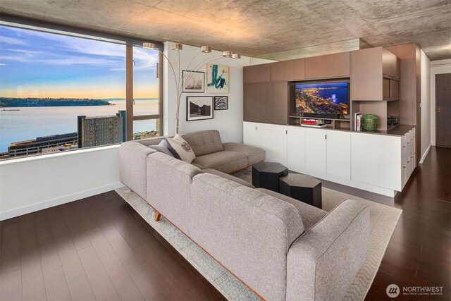 living area with dark wood-style flooring and baseboards