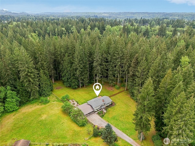bird's eye view of a forest