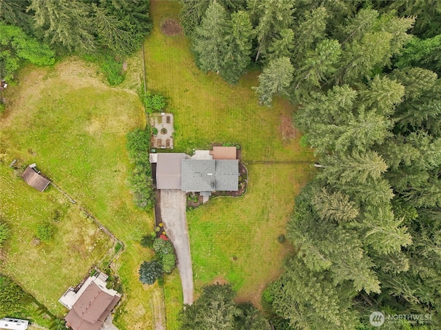 aerial view