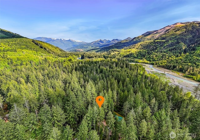 7468 Glacier Springs Dr, Deming, WA 98244 - view of mountain background with a heavily wooded area