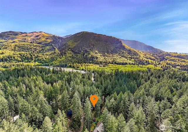 7468 Glacier Springs Dr, Deming, WA 98244 - view of mountain background with a forest